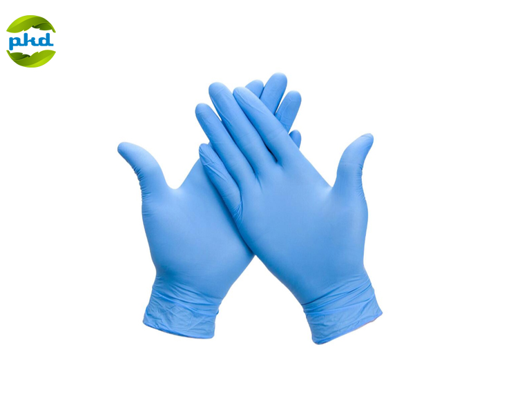 Examination Gloves